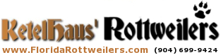 KetelHaus' Rottweilers - Jacksonville Rottweiler Breeder